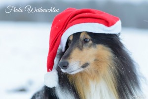 Fiona-Weihnachten-2015